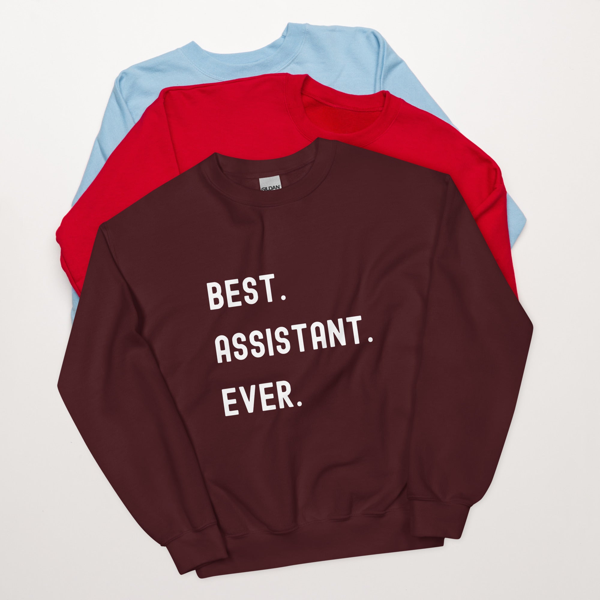 Unisex Sweatshirt | Best. Assistant. Ever.